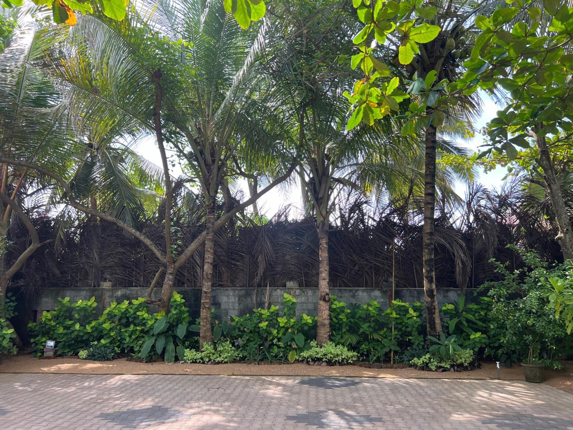 קלוטארה Lohas Beach Resort Villa מראה חיצוני תמונה