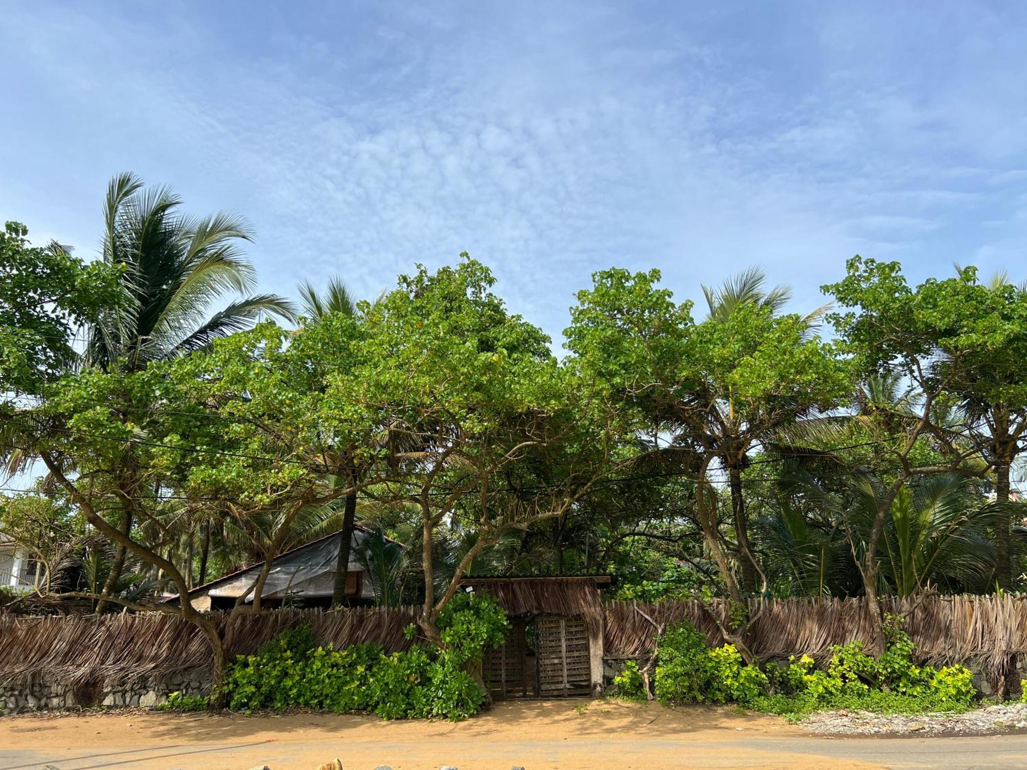 קלוטארה Lohas Beach Resort Villa מראה חיצוני תמונה