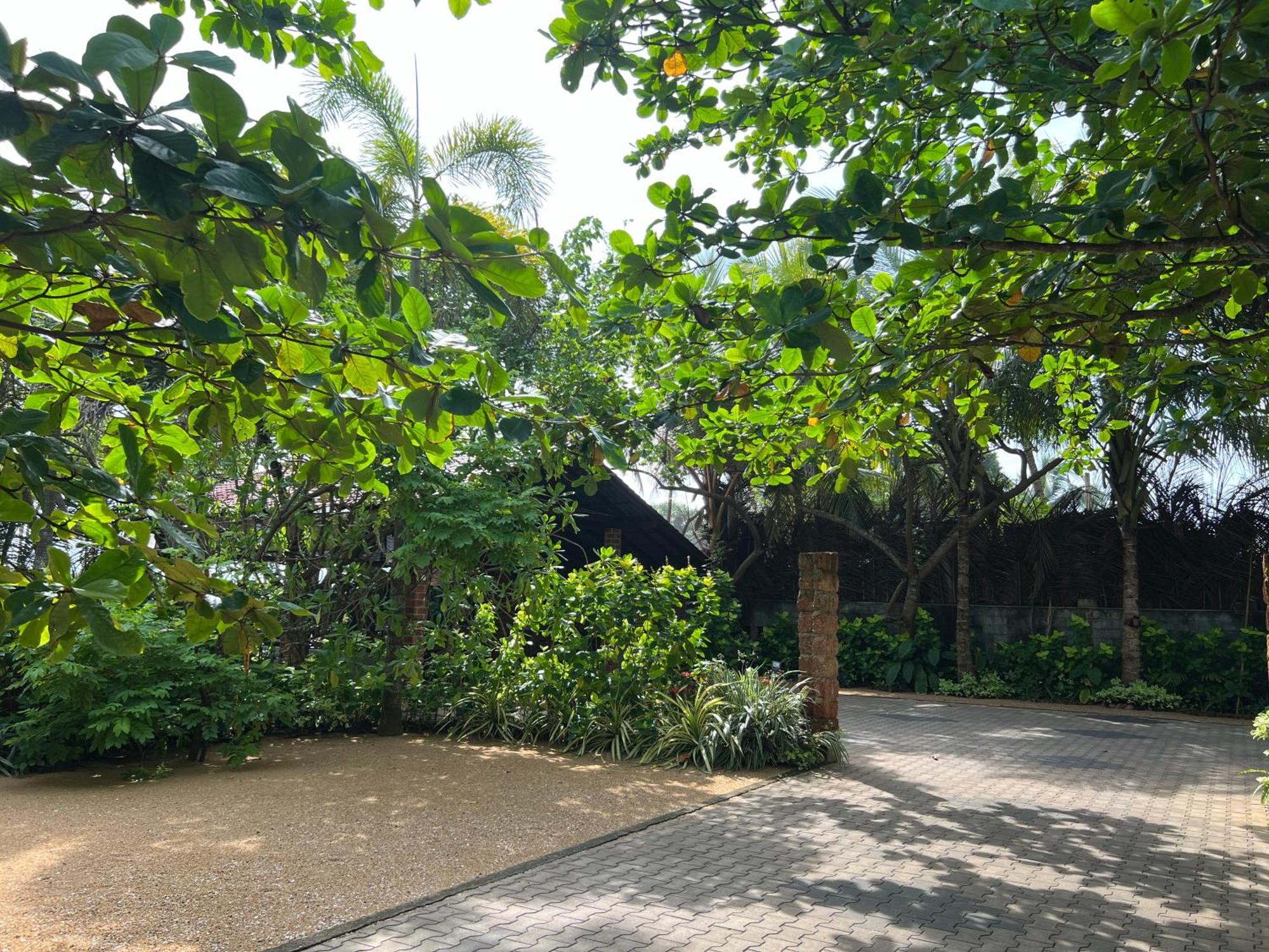 קלוטארה Lohas Beach Resort Villa מראה חיצוני תמונה