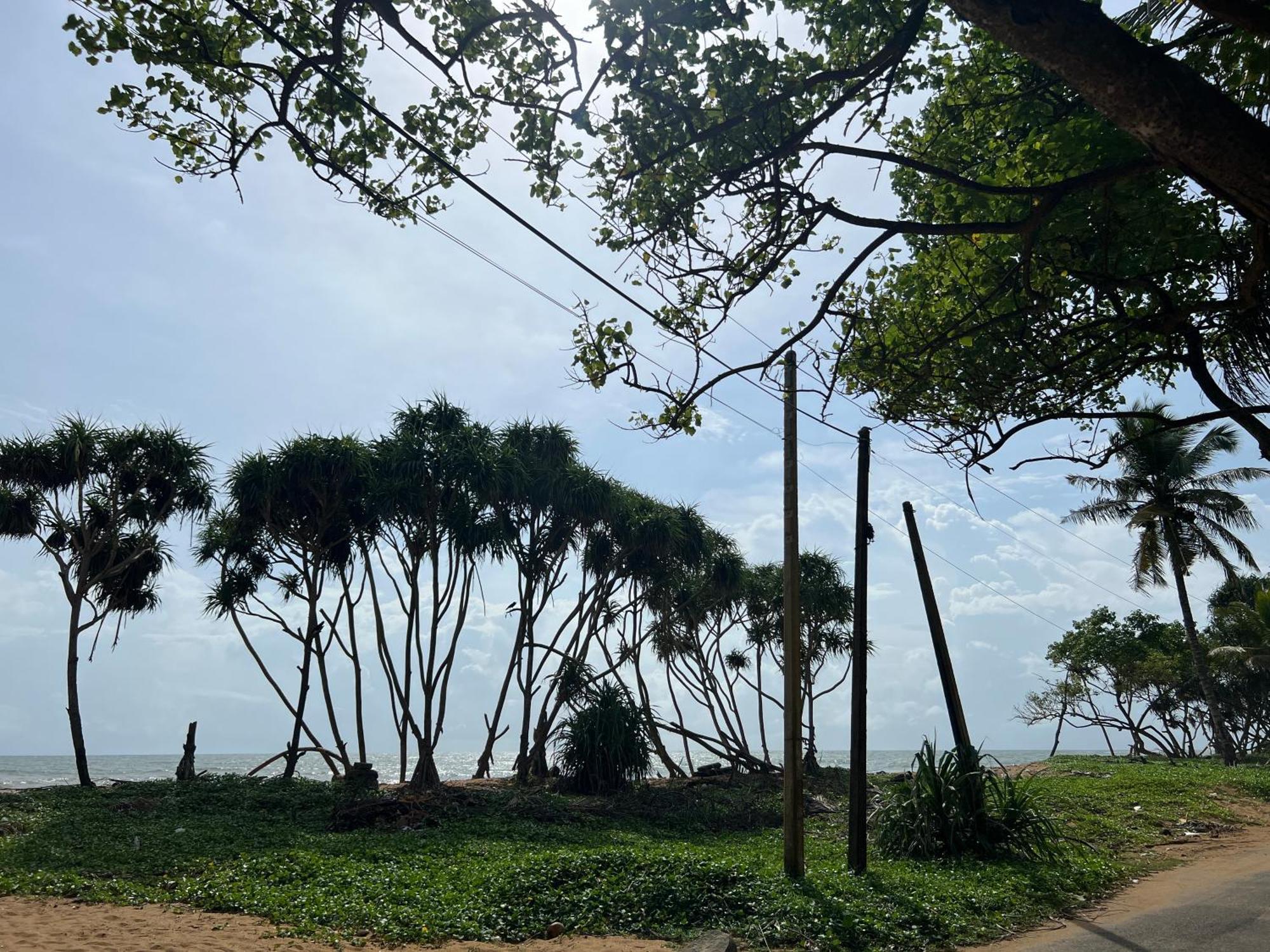 קלוטארה Lohas Beach Resort Villa מראה חיצוני תמונה
